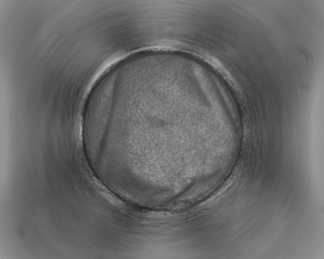 X0000112771232200909101544