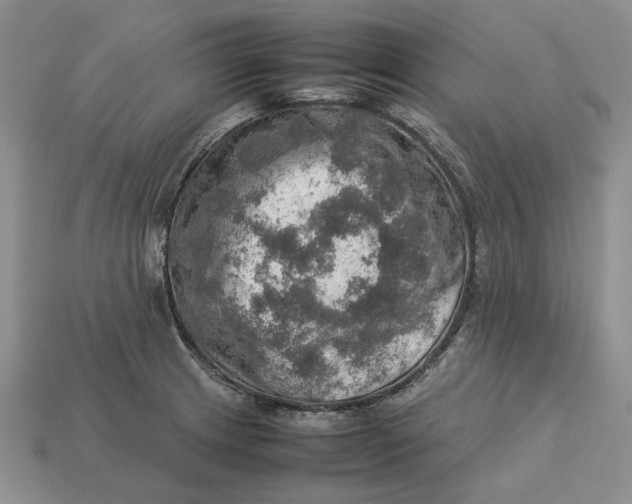 X0000112771233200909101544