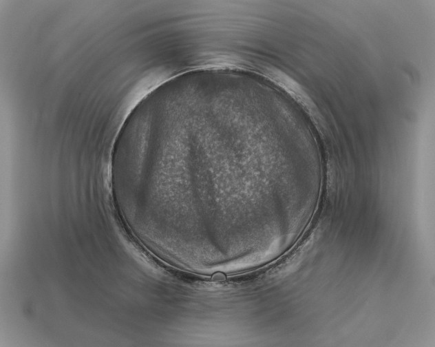 X0000112771234200909101544