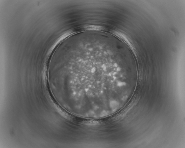 X0000112771235200909101544