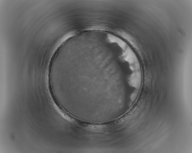 X0000112771237200909101544