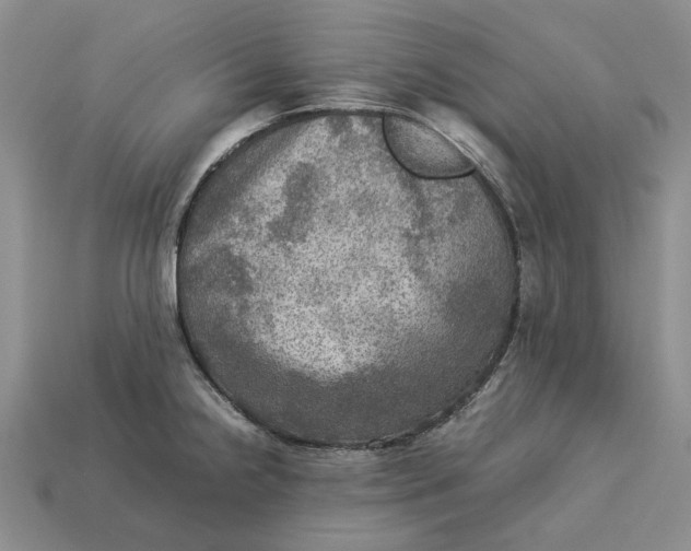 X0000112771238200909101544