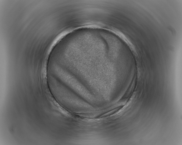 X0000112771240200909101544