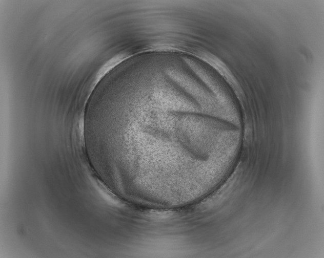 X0000112771242200909101544