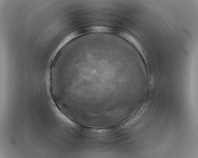 X0000112771243200909101544