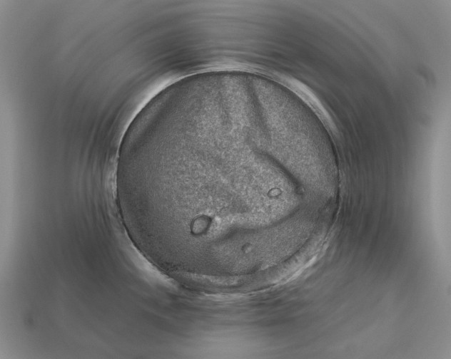 X0000112771244200909101544