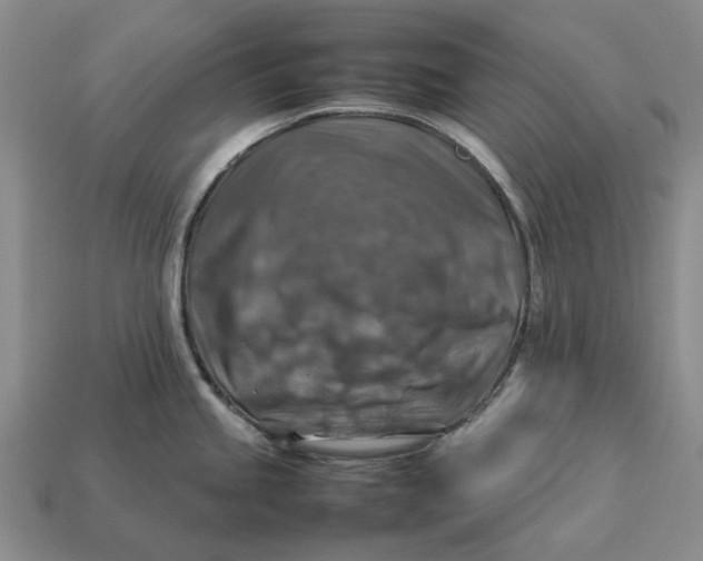 X0000112771245200909101544