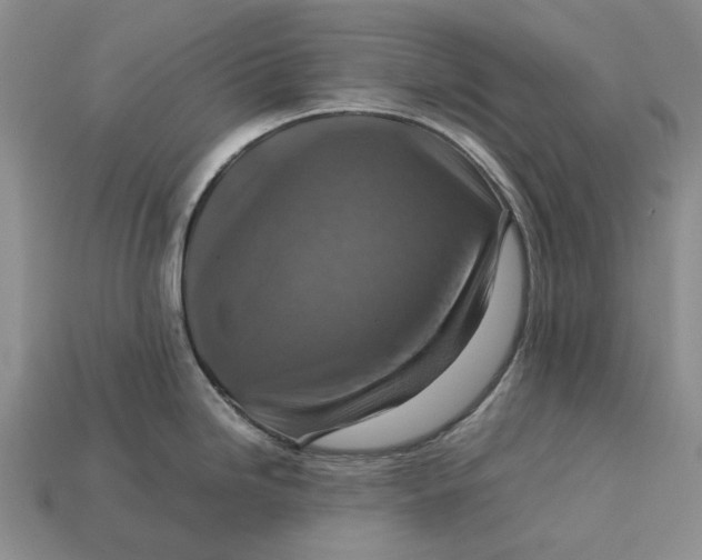 X0000112771246200909101544