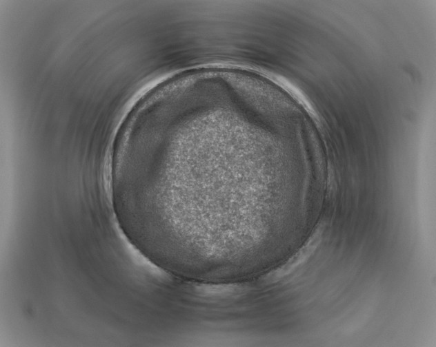 X0000112771247200909101544