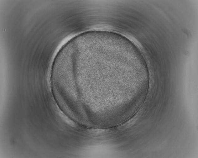 X0000112771248200909101544