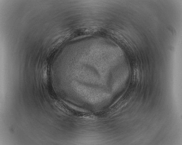 X0000112771250200909101543