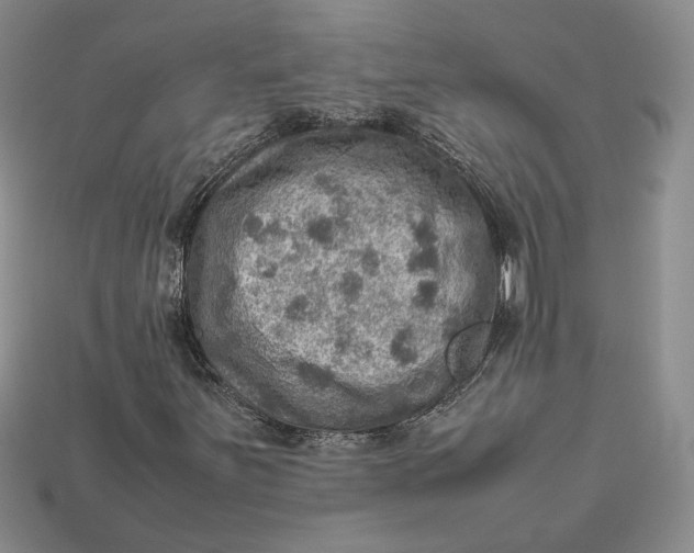 X0000112771251200909101543