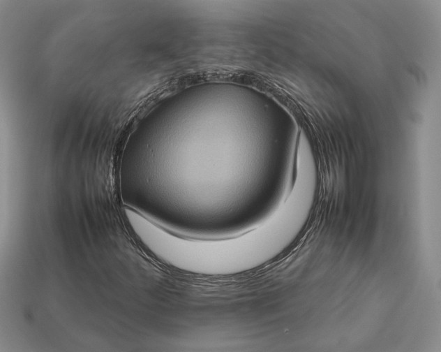 X0000112771252200909101543