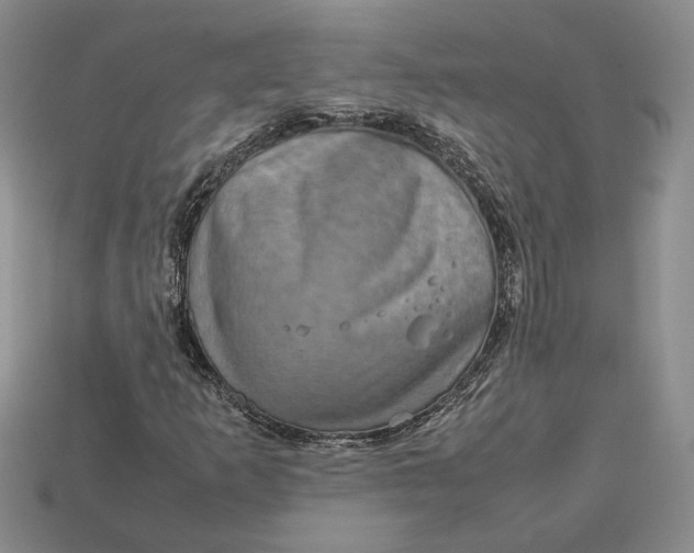 X0000112771253200909101543