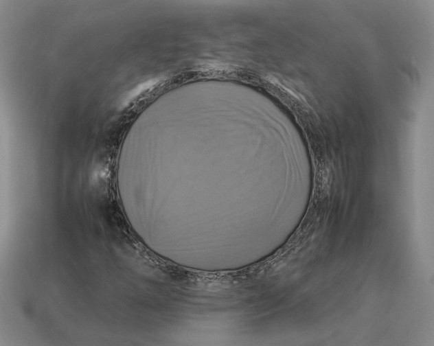 X0000112771254200909101543