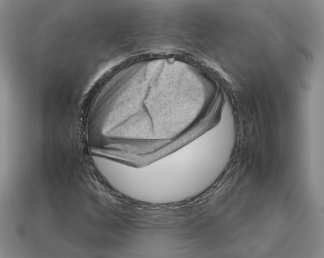 X0000112771256200909101543