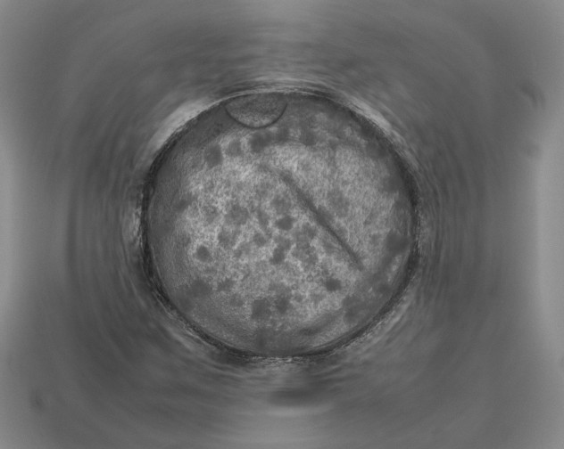 X0000112771259200909101543