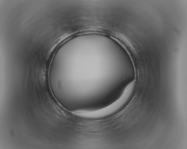 X0000112771260200909101543