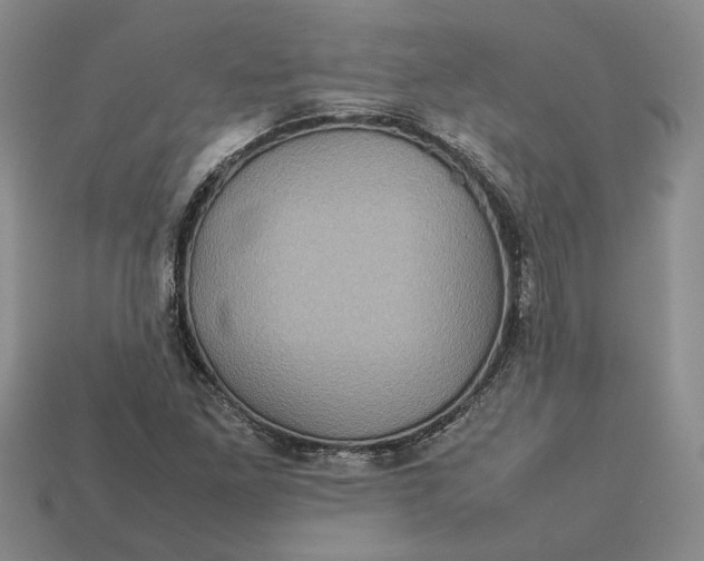 X0000112771261200909101543