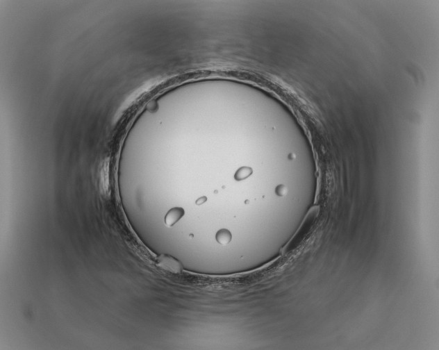 X0000112771262200909101543