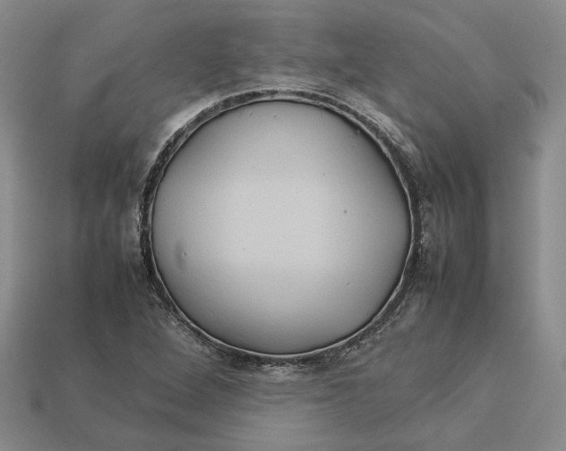 X0000112771264200909101543