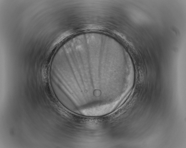 X0000112771266200909101543