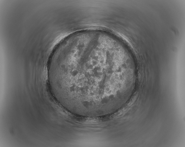 X0000112771267200909101543