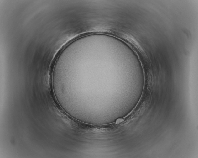 X0000112771268200909101543