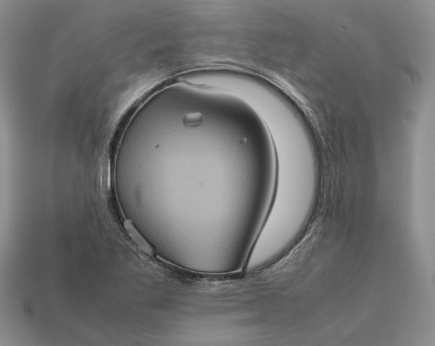 X0000112771269200909101543