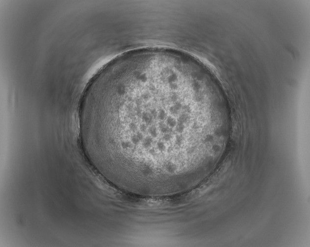 X0000112771271200909101543