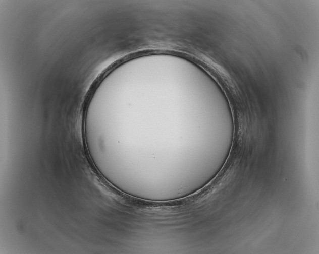 X0000112771272200909101543