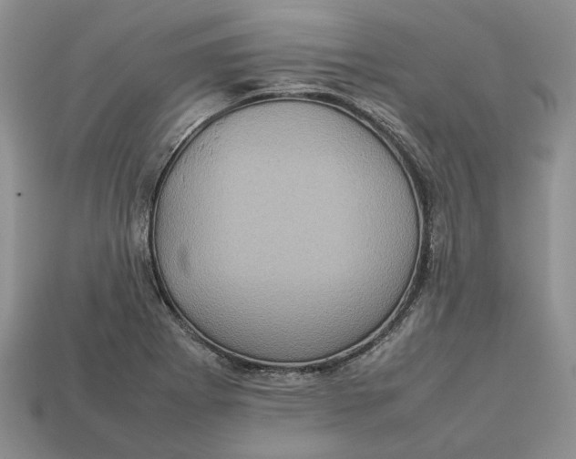 X0000112771273200909101543