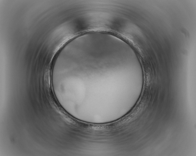 X0000112771274200909101543