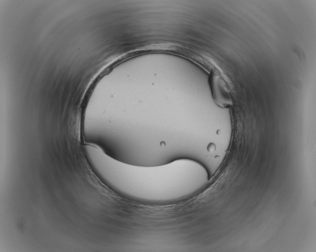 X0000112771276200909101543