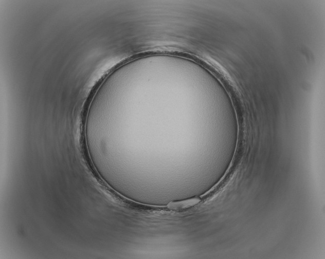 X0000112771277200909101543