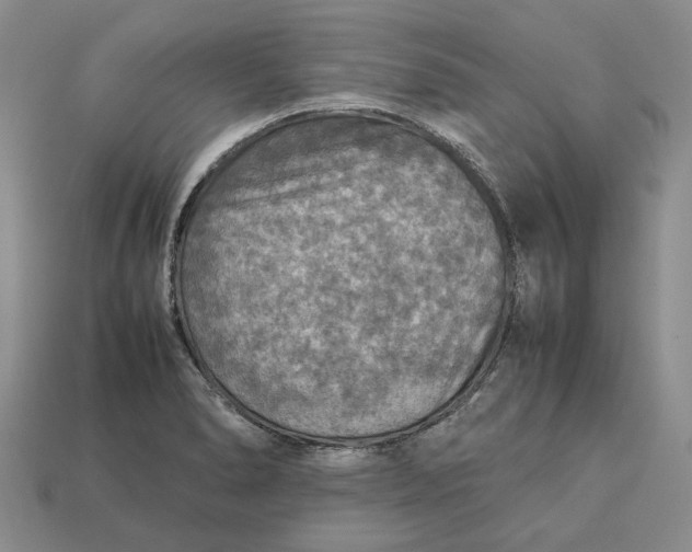 X0000112771278200909101543