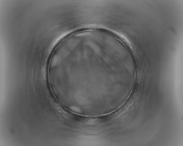 X0000112771279200909101543