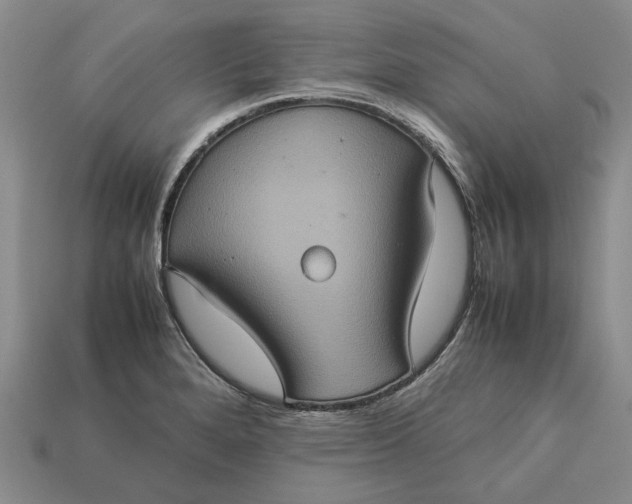 X0000112771280200909101543