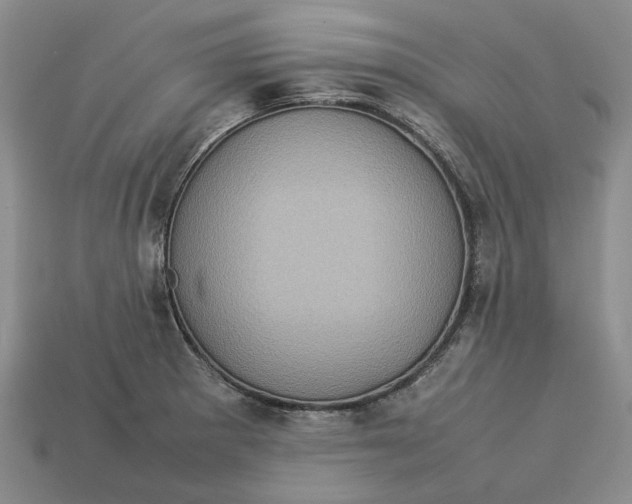 X0000112771281200909101543