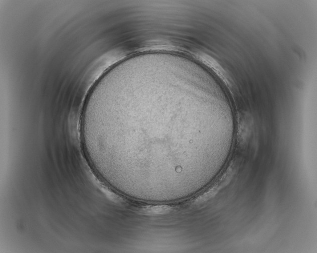 X0000112771282200909101543