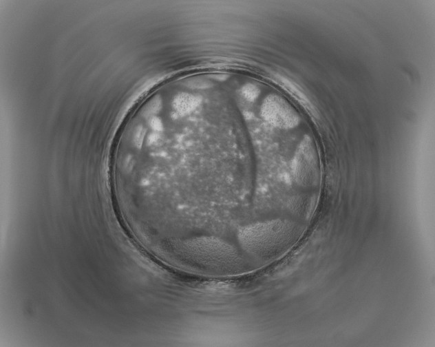 X0000112771283200909101543