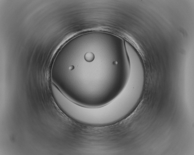 X0000112771284200909101543