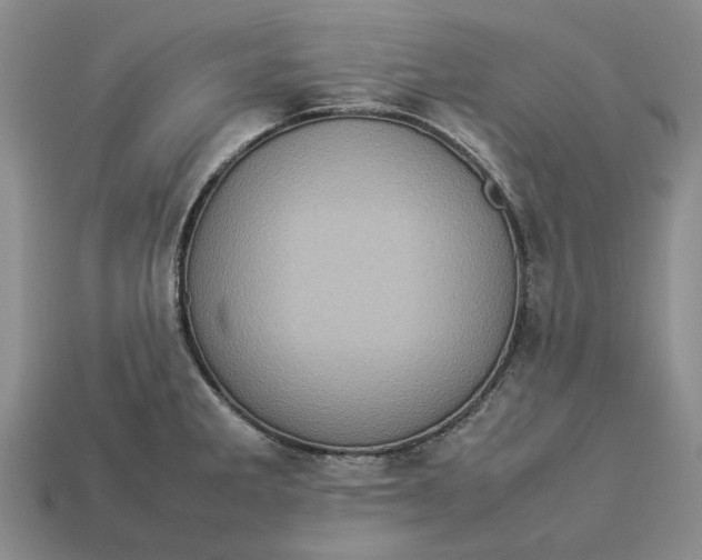 X0000112771285200909101543