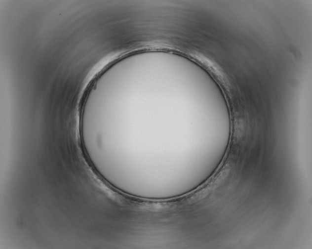 X0000112771286200909101543