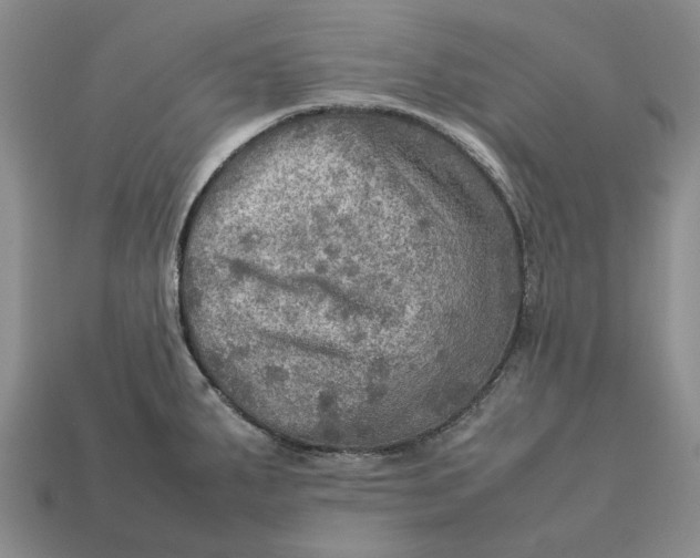 X0000112771287200909101543