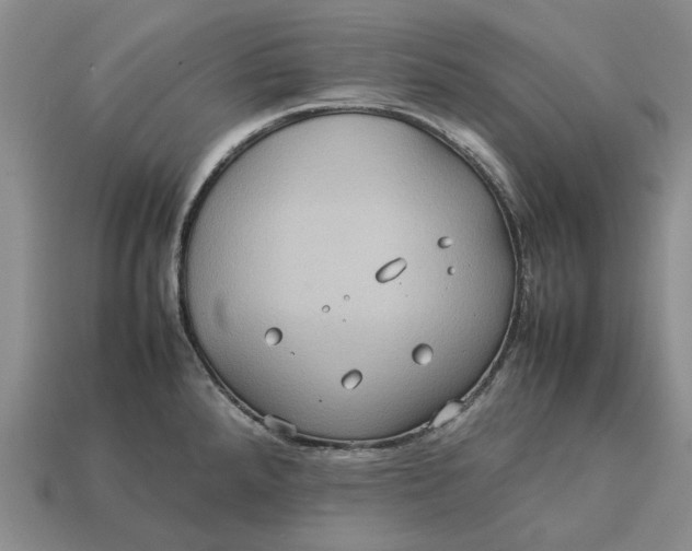 X0000112771288200909101543