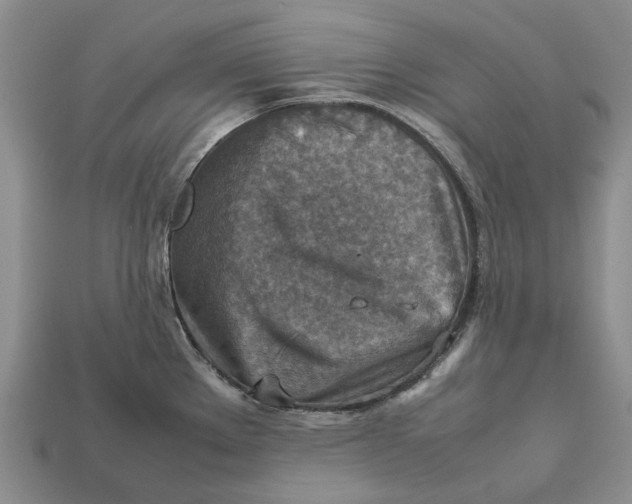 X0000112771289200909101543