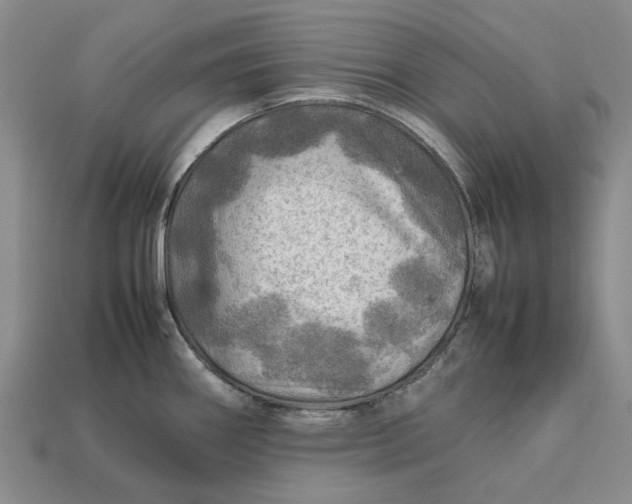 X0000112771290200909101543