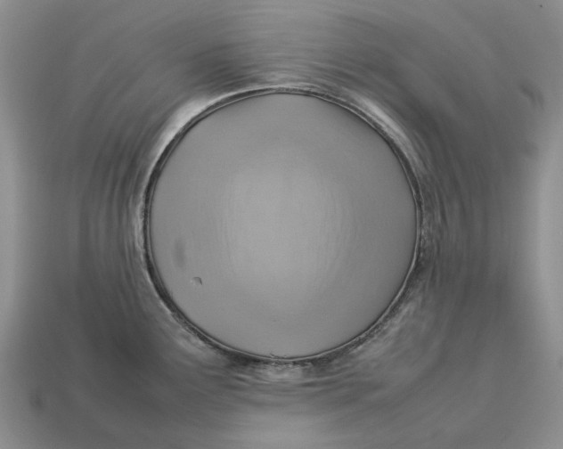 X0000112771291200909101543