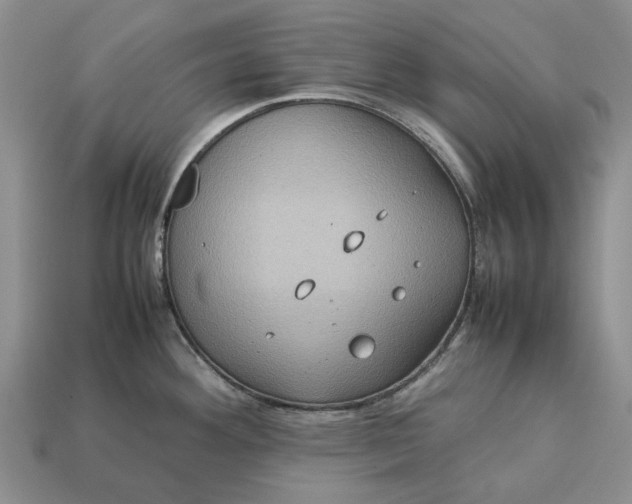 X0000112771292200909101543